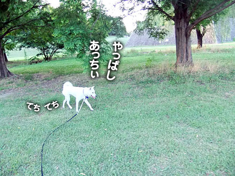 2011071405