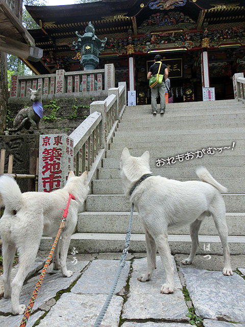 2014062214