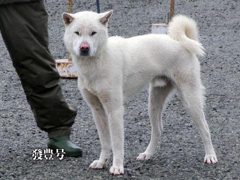 2013042308