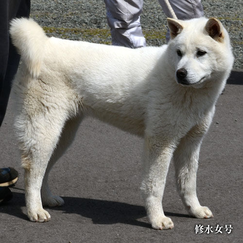 2019032805