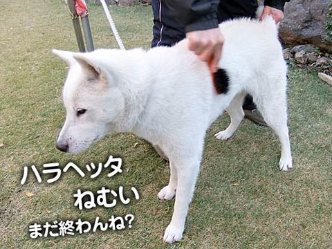 2010113013