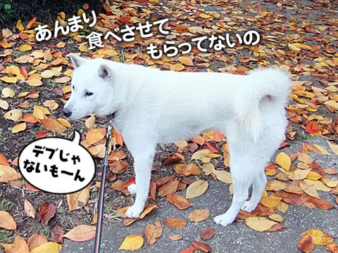 2011111401