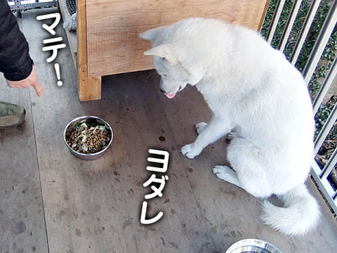 2010121402