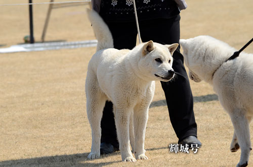 2014031702