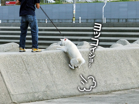 2011101002