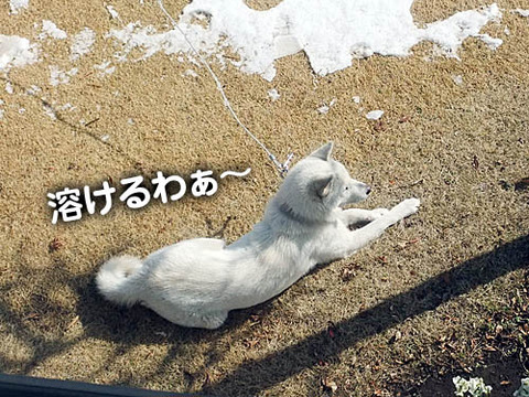 2011021507