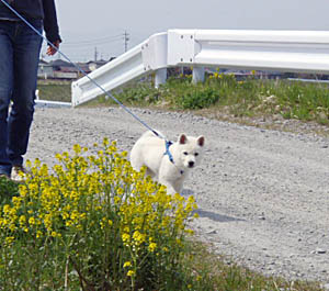 2010050501