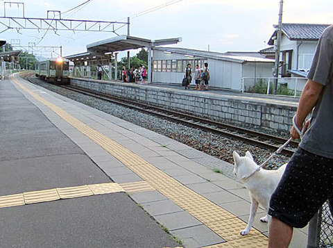 2010080603