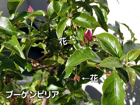 2012112909