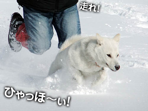 2011011712