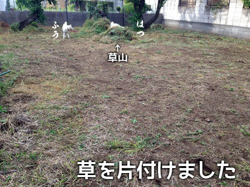 2015051702
