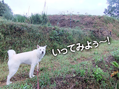 2011092402
