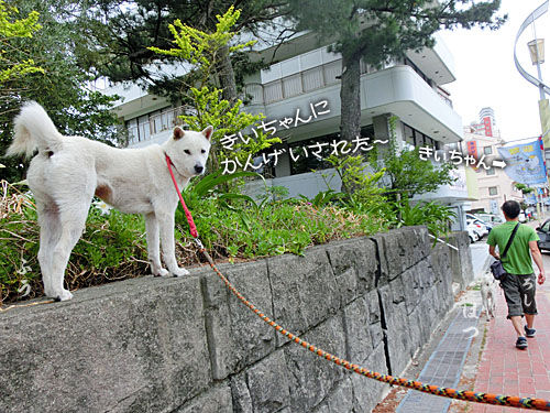 2015060502