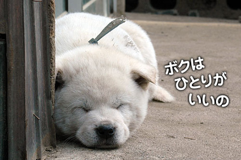 2011112809