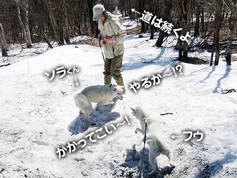 2011041806