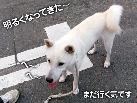 2011081501