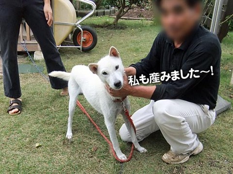 2011102406