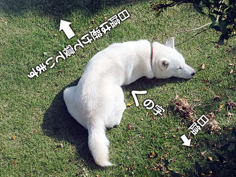 2011111501