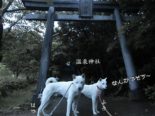 2015060509