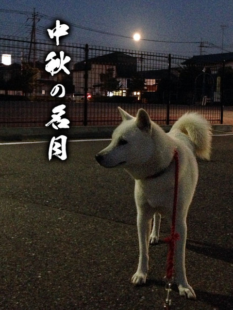 2013091901