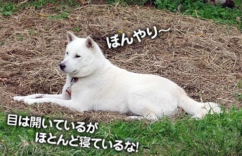 2011103004