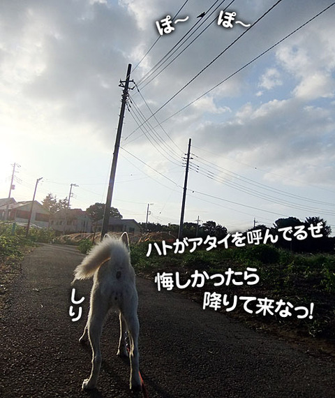 2011072202