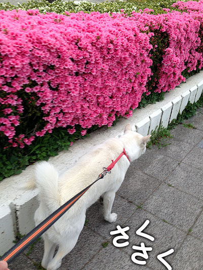 2013041002