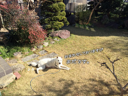 2016010401