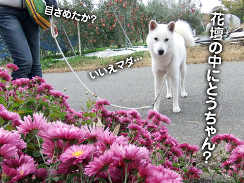 2010111604