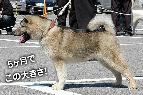 2011031405