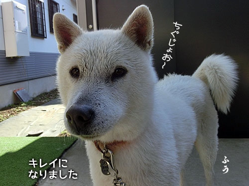 2014032409