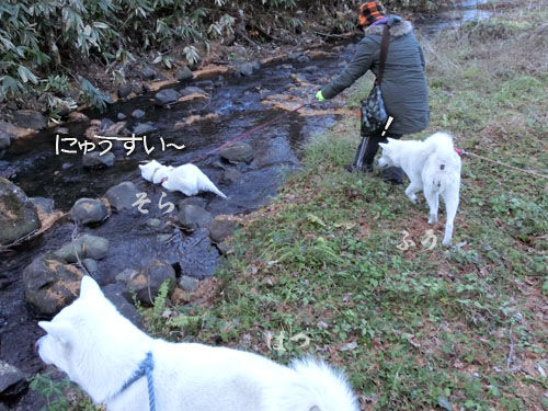 2013113006