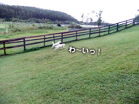 2011092408