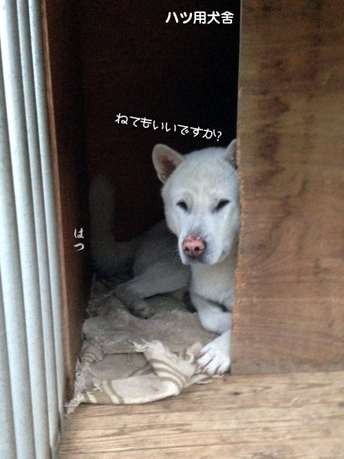 2015050904