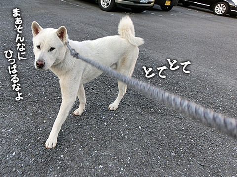 2012112504