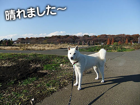 2010120401