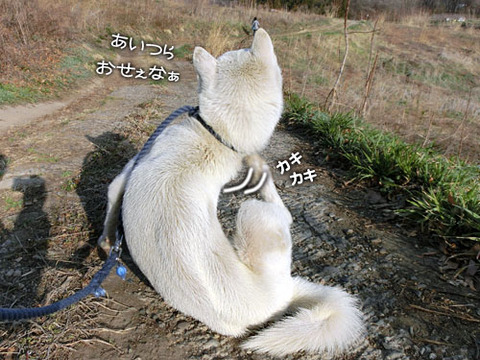 2013040104