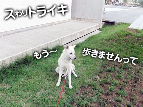 2011070601