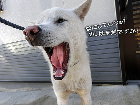 2013041106