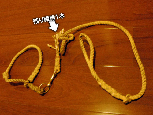 ac43a65e.jpg