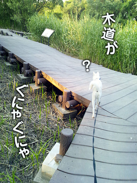2011071608