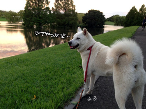 2013091801