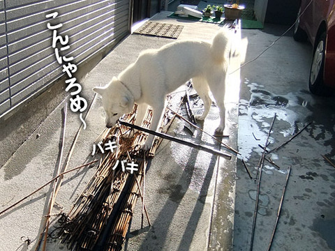 2011102001