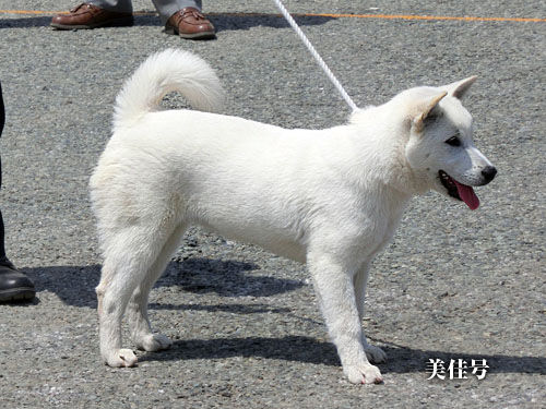 2014043012
