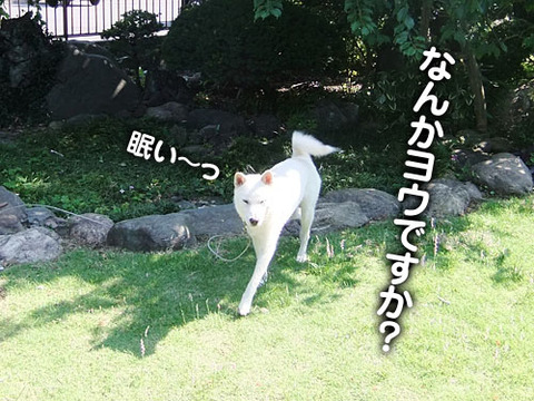 2011062303