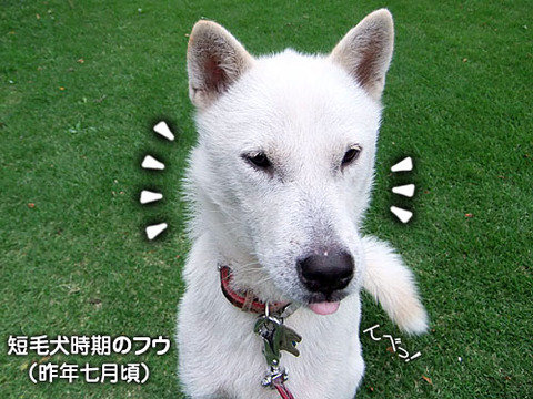 2013061209