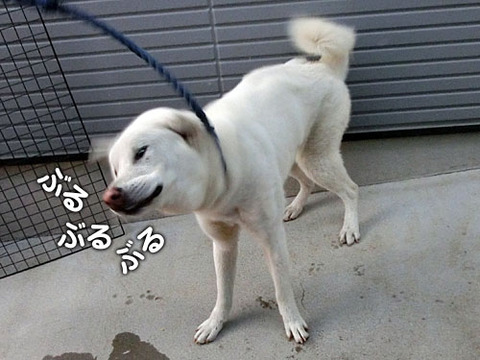 2012122808