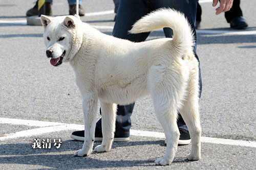 2014031104