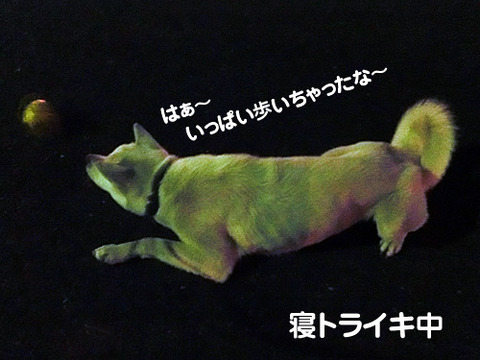 2012112506