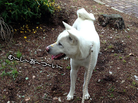 2013061501